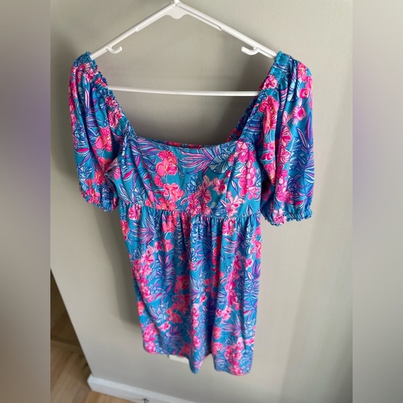 Lilly Pulitzer Delaney Short Sleeve Dress - Blue and Pink - Size 2 - Picture 8 of 15
